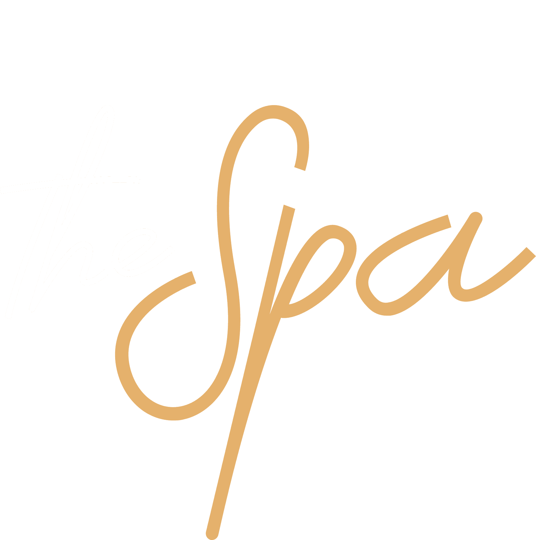 TheSpa